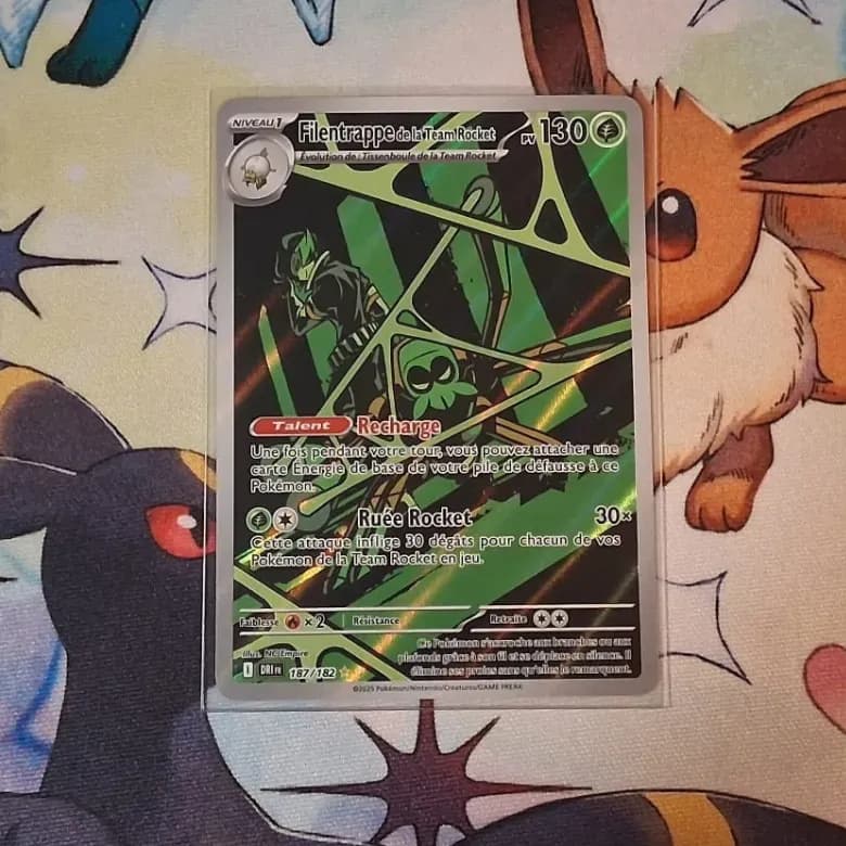 FILENTRAPPE DE LA TEAM ROCKET - DRI 187/182 - FR