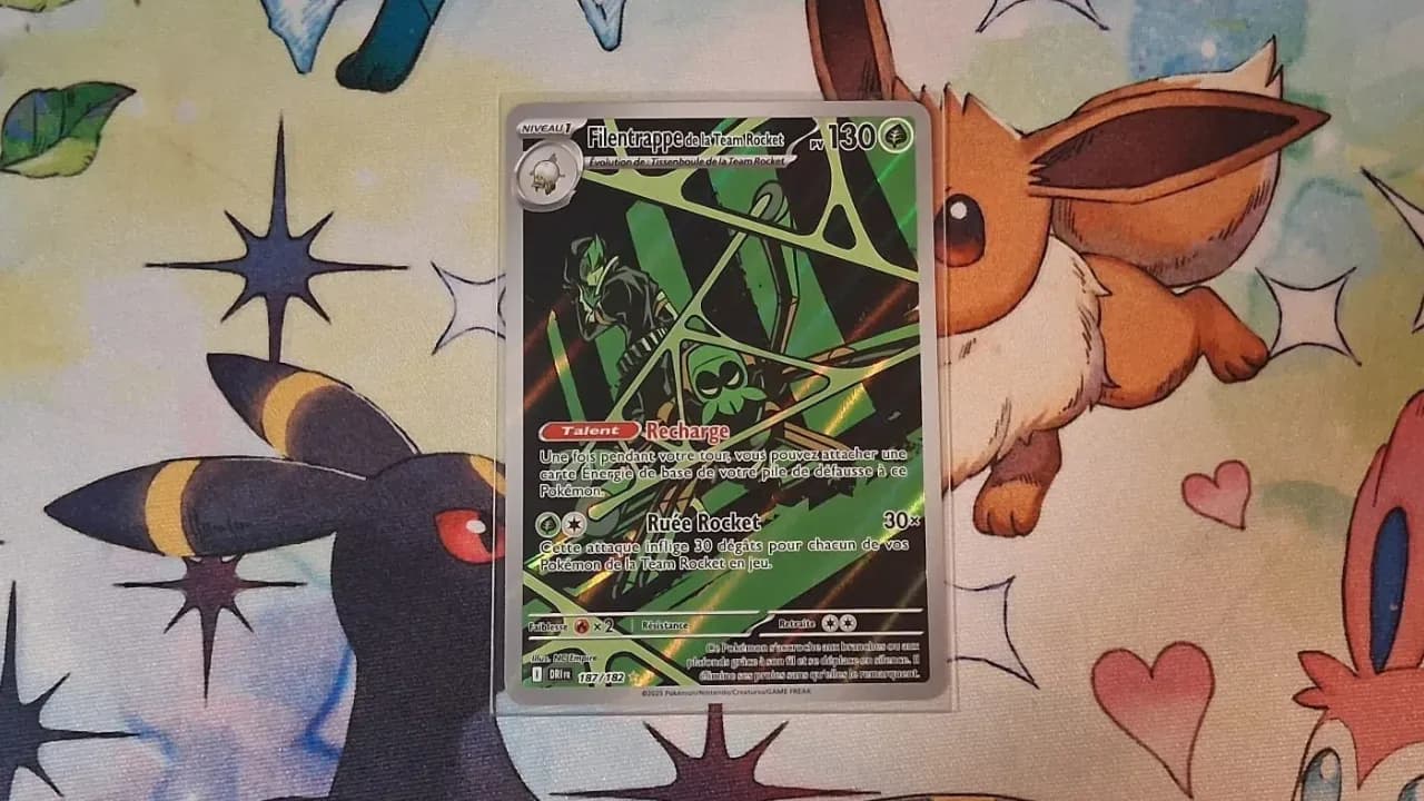 FILENTRAPPE DE LA TEAM ROCKET - DRI 187/182 - FR